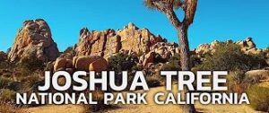 Joshua Tree National Park