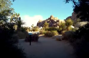 Joshua Tree National Park