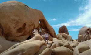 Joshua Tree National Park