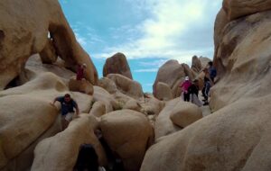 Joshua Tree National Park